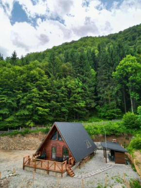 Wild Cabin